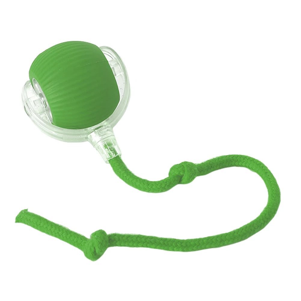 Cat Interactive Self Rotating Rechargeable Fast Rolling Ball for Indoor Cat Kitten