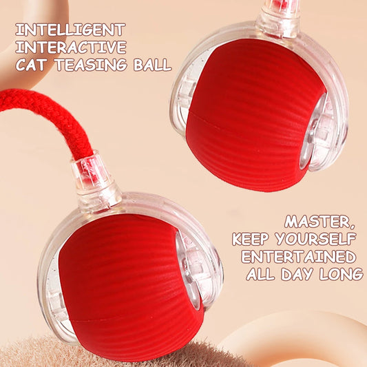Cat Interactive Self Rotating Rechargeable Fast Rolling Ball for Indoor Cat Kitten