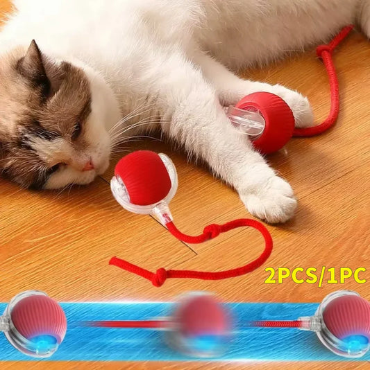 Cat Interactive Self Rotating Rechargeable Fast Rolling Ball for Indoor Cat Kitten